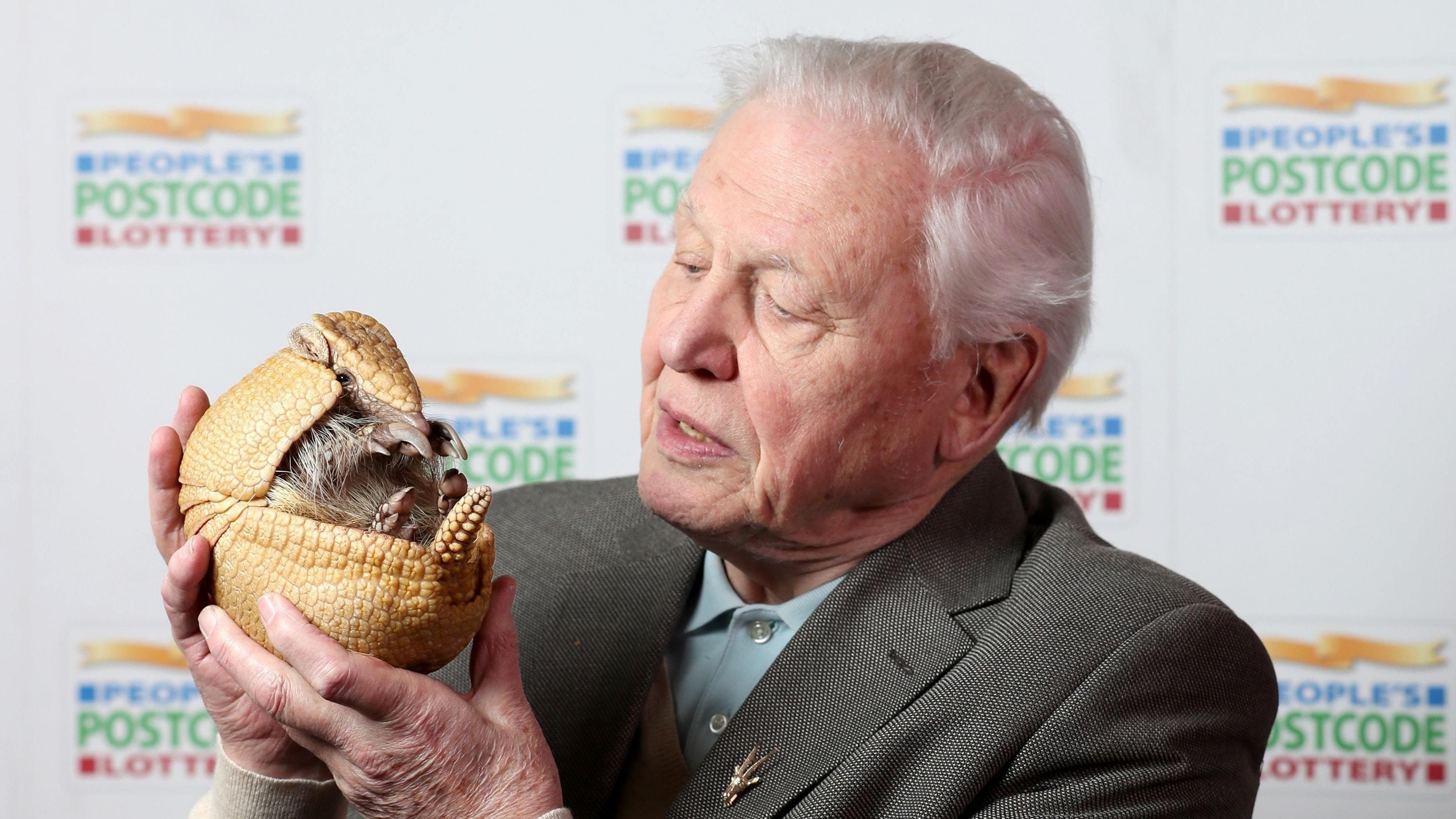 Sir David Attenborough joins lineup for Edinburgh International TV