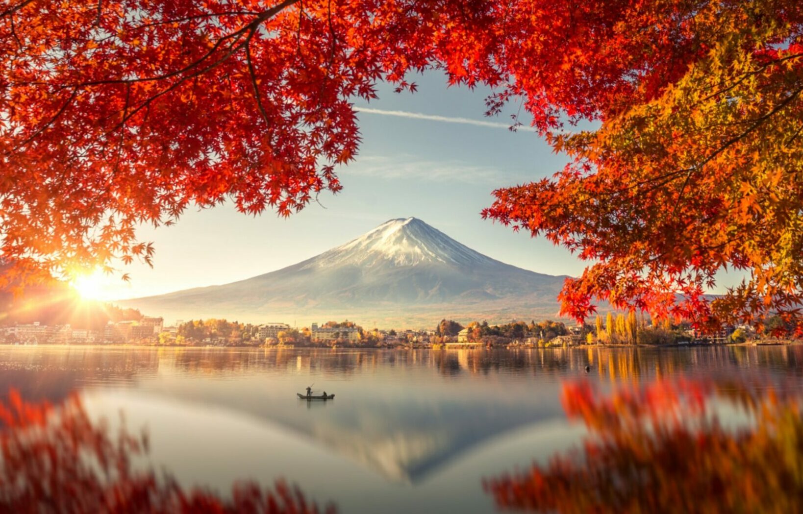 The Honest Truth: Author Reveals All About Japan's 72 Seasons