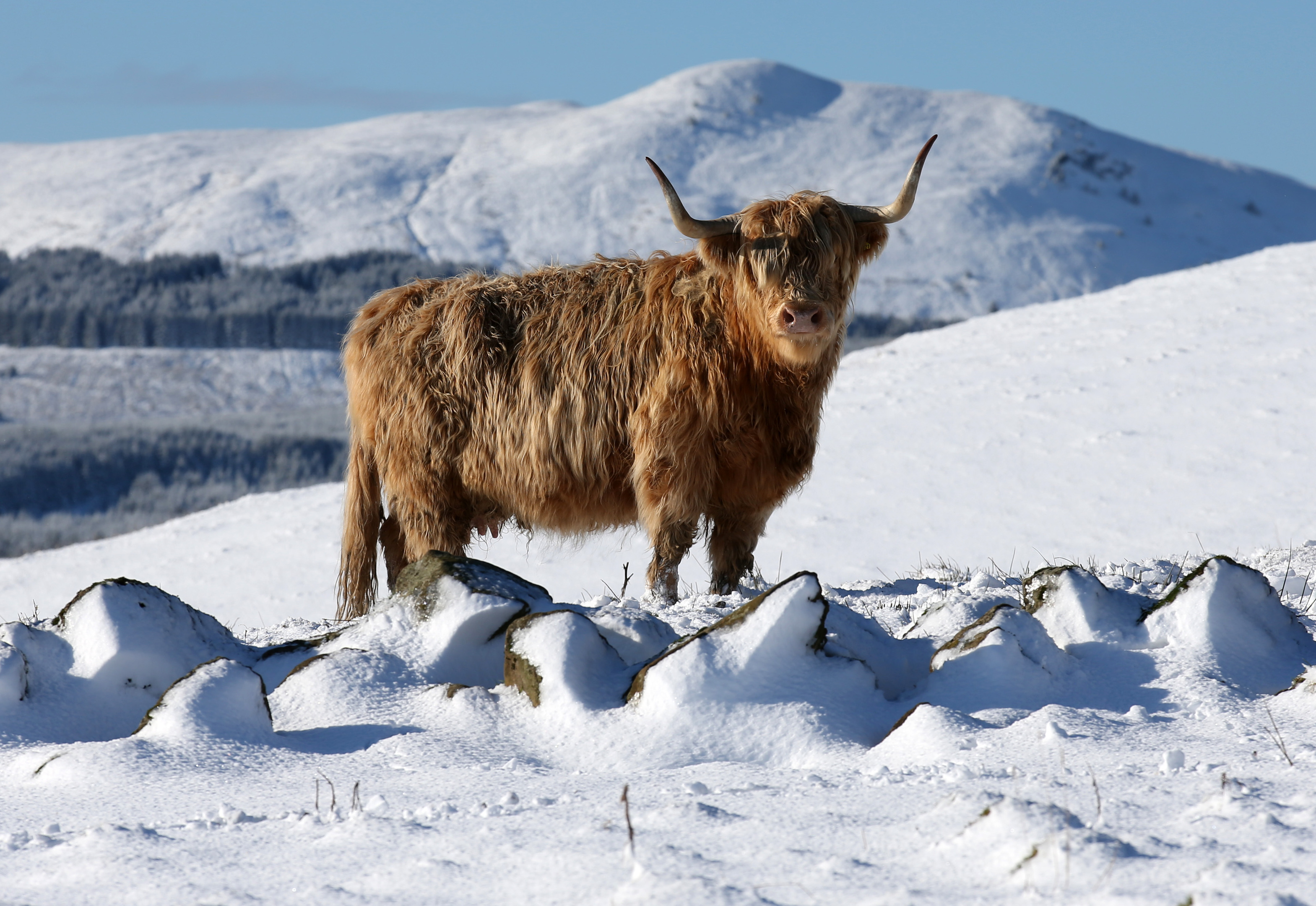 warnings-remain-as-fresh-snow-sweeps-across-scotland-the-sunday-post