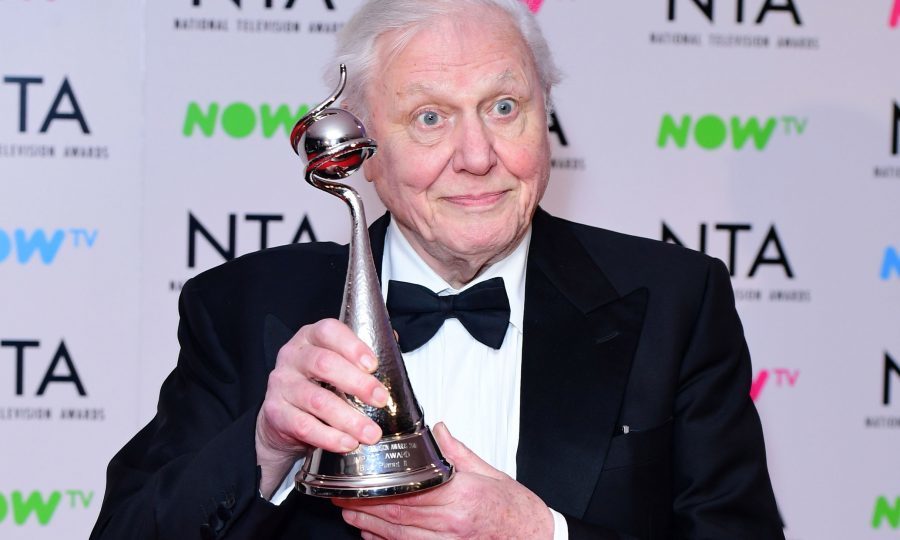 Sir David Attenborough speaks of pride after Blue II wins at National TV Awards Sunday Post