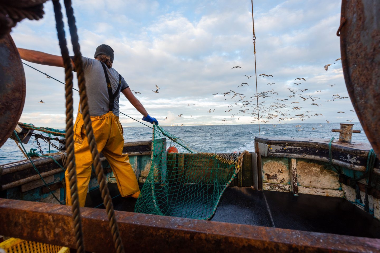 Tied in knots: Despairing fishing fleet bound up by red tape after Brexit